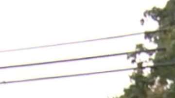 Maestra de escuela fue acusada falsamente de mantener relaciones con alumno.