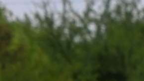 shutterstock_313125641