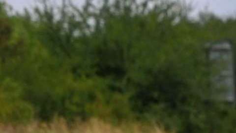 shutterstock_313125641