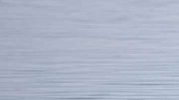 El reptil jaló a la mujer junto con su hijo a lo más profundo del lago.