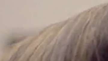 Carmen Villalobos y Fabián Ríos en una de las escenas finales de "Sin senos sí hay paraíso 3"