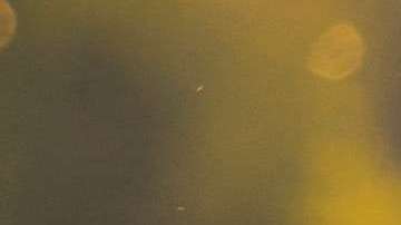 Realmente, son cosas que puedes empezar a hacer desde ya.