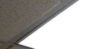 El voto de los latinos cuenta. / Foto: archivo.