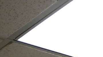 El voto de los latinos cuenta. / Foto: archivo.