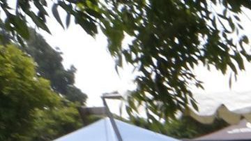 Minorías e inmigrantes pueden influir en las elecciones de noviembre.