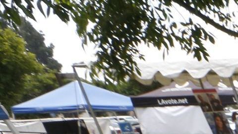 Minorías e inmigrantes pueden influir en las elecciones de noviembre.