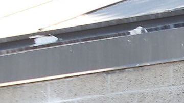 El DMV cambia sus sistema de puntos por cada estado