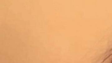 La niña murió por el ataque del perro de la familia.