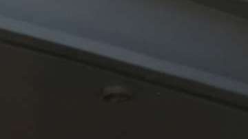 Activistas piden una protección permanente al TPS.