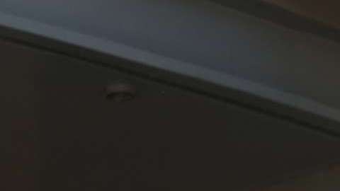 Activistas piden una protección permanente al TPS.