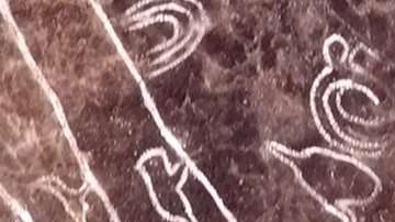 La mayoría de los dibujos estaban bajo capas de tierra y barro.