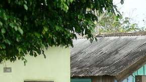 Hay más inundaciones extremas en el río Amazonas.