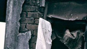 Mahatma Gandhi rechazó donaciones de prostitutas para su partido.