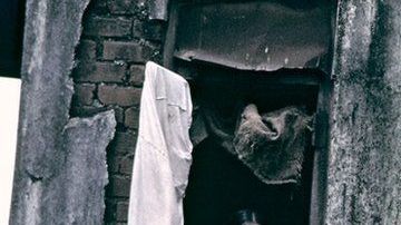 Mahatma Gandhi rechazó donaciones de prostitutas para su partido.