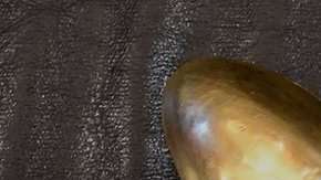 Hay delicias difíciles de disfrutar.