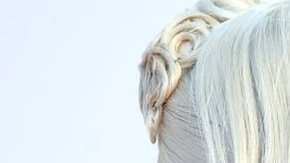 Es el primer papel protagonista de la cantante.