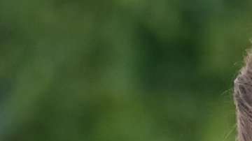 Gisele Bündchen reveló su secreto para tener energía.