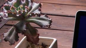 El wifi se ha vuelto una tecnología omnipresente.