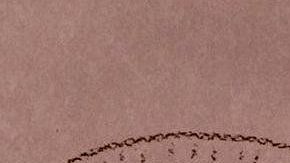 El accidente parecía haber eliminado el inglés del cerebro de Hannah.