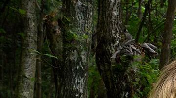 Para los jueces, una de las cosas que hace especial a esta foto es la luz.