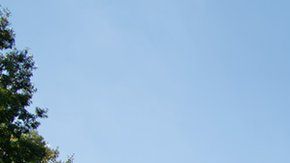 45% de los graduados de Berea College no tienen deudas.