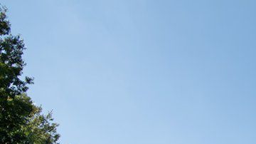 45% de los graduados de Berea College no tienen deudas.