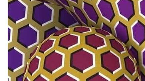 103927763_44190191_2160165127350452_3001085544559017984_n