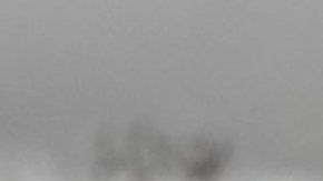 103946313_mediaitem103946311