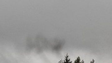 103946313_mediaitem103946311