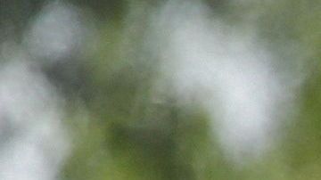 Familias migrantes son procesadas en la Estación Central de Autobuses en McAllen.