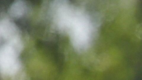 Familias migrantes son procesadas en la Estación Central de Autobuses en McAllen.