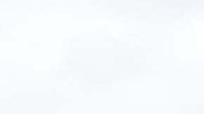 Cerca de 250 familias, separadas por motivos migratorios, pudieron abrazarse.