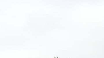 Cerca de 250 familias, separadas por motivos migratorios, pudieron abrazarse.