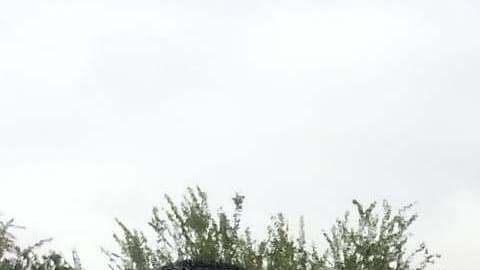 Cerca de 250 familias, separadas por motivos migratorios, pudieron abrazarse.