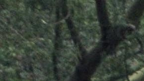 Padres y menores fueron reunidos. EFE