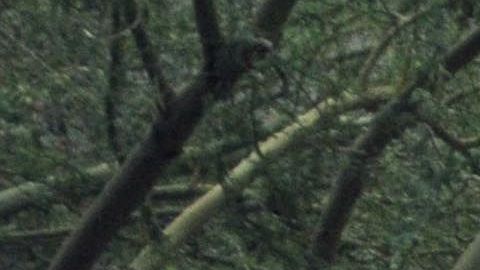 Padres y menores fueron reunidos. EFE