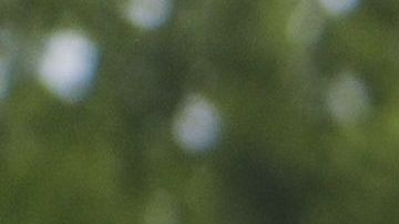 Arizona enfrenta una crisis de familias inmigrantes.