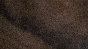 Rosana Guernica rescató a cientos de pacientes vulnerables en Puerto Rico en 2017.