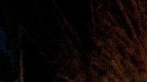 Un grupo de inmigrantes detenido por la Patrulla Fronteriza en Texas.