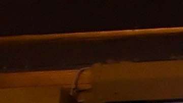 Strickland fue galardonada conjuntamente con Gerard Mourou por "su método para generar los pulsos de láser más cortos e intensos creados por la humanidad"