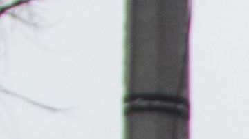 Mujeres marchan en Ecatepec para exigir justicia y seguridad.