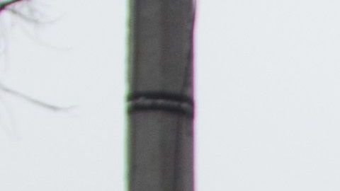 Mujeres marchan en Ecatepec para exigir justicia y seguridad.