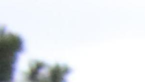 Autoridades hondureñas piden identificación en el cruce fronterizo con Guatemala.