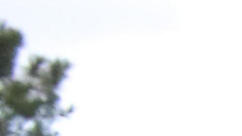 Autoridades hondureñas piden identificación en el cruce fronterizo con Guatemala.