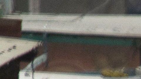 Al menos 2,000 migrantes lograroon cruzar hacia México camino a EEUU.