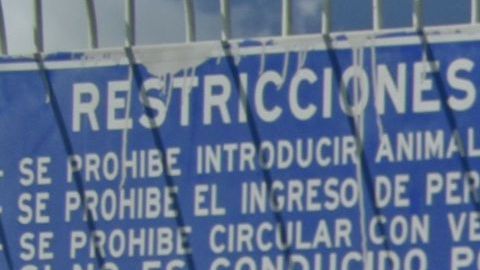 Se estima que son 7,000 los integrantes de la caravana migrante.