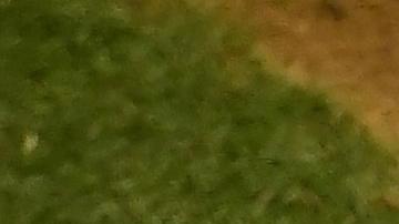 Eduardo Núñez conecta su jonrón letal de tres carreras.