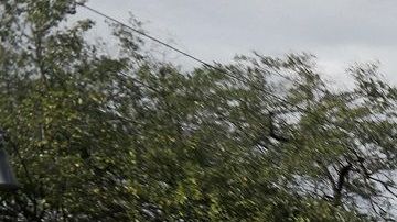 Se estima que alrededor de 7,000 personas siguen su ruta hacia EEUU.