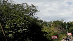 Buscan "el sueño americano"