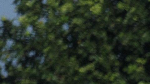 La caravana continúa su paso hacia EEUU.